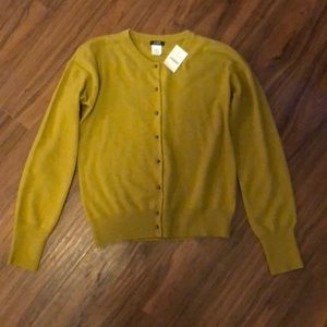 JCrew green cardigan